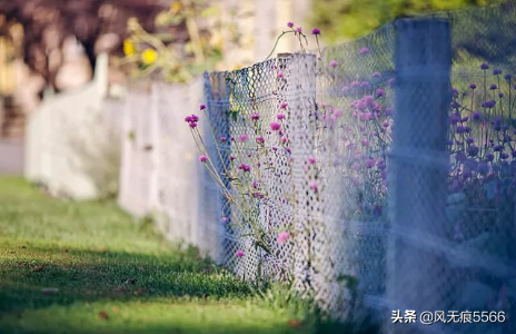 无法诉说的委屈的句子图片（活得好累好压抑的心情说说） 第3张