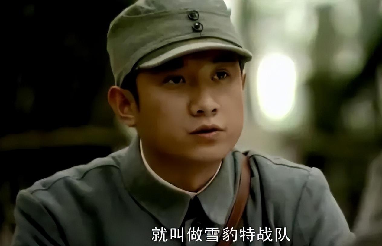 廖光义将军纪念馆在哪里（备受欢迎的10部抗战剧） 第33张