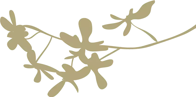 月的古诗有哪些（描写月亮的诗句欣赏） 第1张
