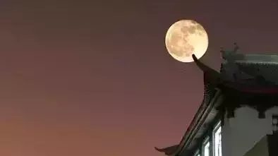 月的古诗有哪些（描写月亮的诗句欣赏） 第17张