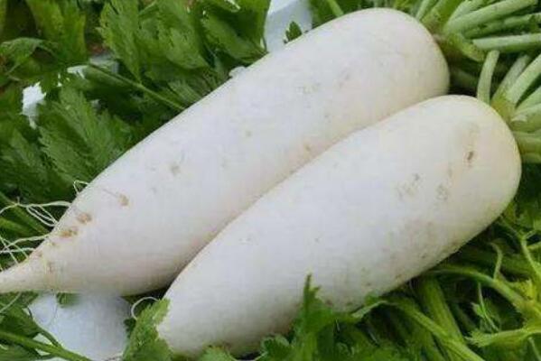 冬天适合吃的10种蔬菜,冬天吃什么蔬菜比较健康 第1张