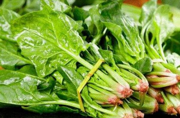 冬天适合吃的10种蔬菜,冬天吃什么蔬菜比较健康 第13张