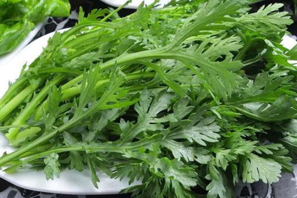 冬天适合吃的10种蔬菜,冬天吃什么蔬菜比较健康 第17张
