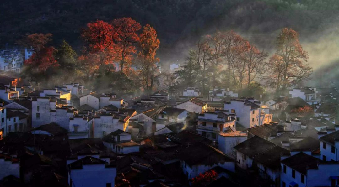 描写乡村秋景的诗句（描写山村秋色的古诗词） 第61张