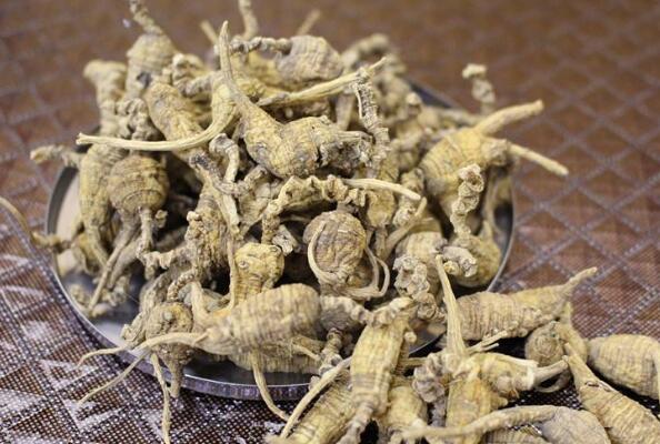 美国特产有什么,美国十大特产 第5张