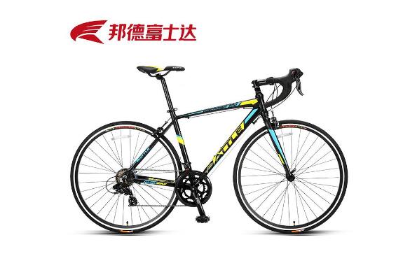 全球十大公路自行车品牌,公路自行车都有哪些品牌 第13张
