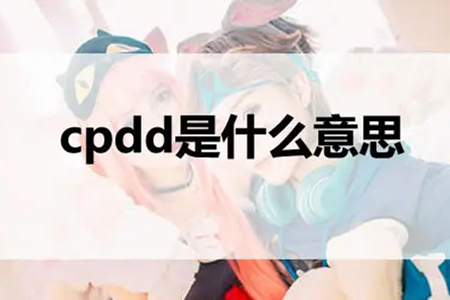 cpdd是什么意思？言外之意就是联系我 第1张