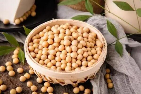 优质蛋白食物十佳排行榜,蛋白食物都有哪些食物 第19张