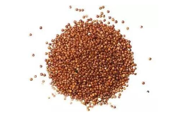 中国十大好谷物排行榜,谷物类有哪些食物 第11张
