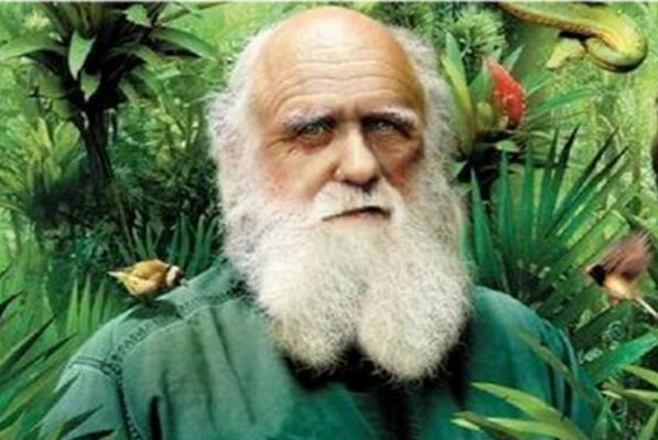 十大最具知名度的世界名人,全球出名的十大名人 第17张
