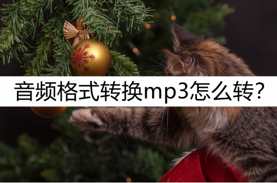 7998fb60694343d99bcafa7c34b74a39noop.image_-1 第1张