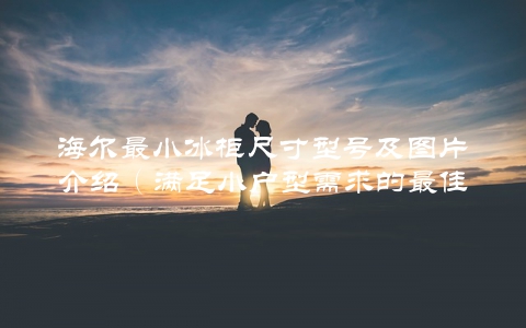 海尔最小冰柜尺寸型号及图片介绍（满足小户型需求的最佳选择） 第1张