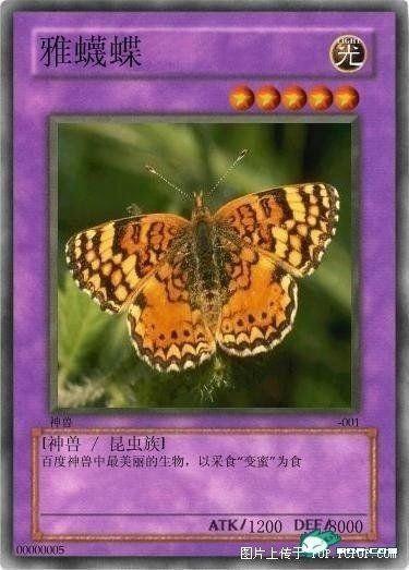 网络十大神兽（网络流传的十大神兽） 第7张