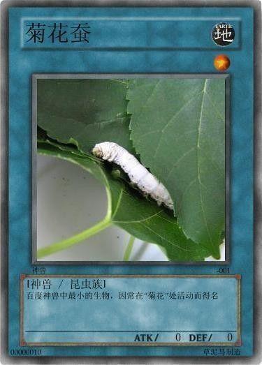 网络十大神兽（网络流传的十大神兽） 第15张