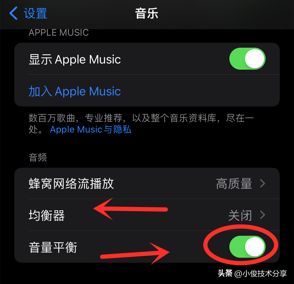 苹果手机声音小怎么解决（修复苹果手机声音小的方法） 第5张