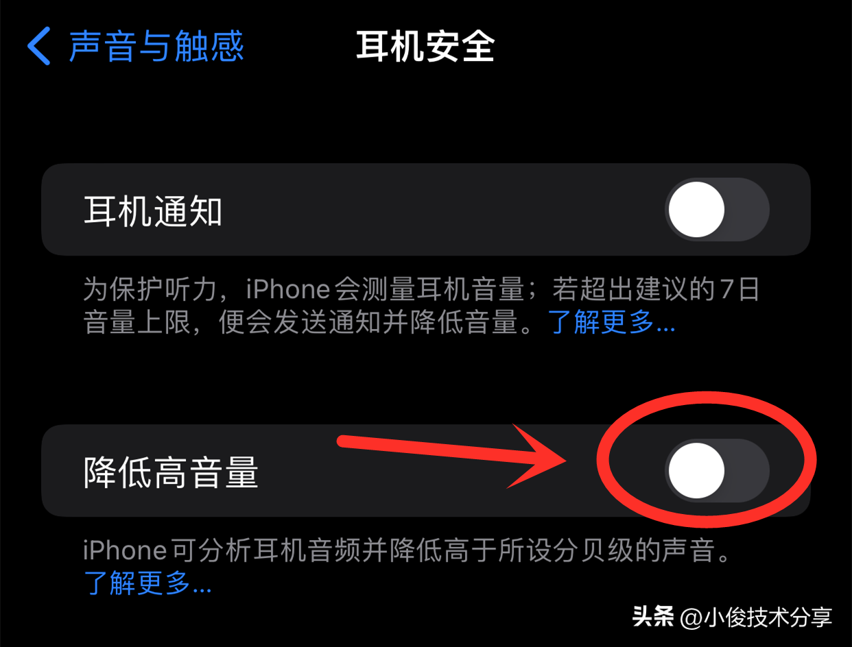 苹果手机声音小怎么解决（修复苹果手机声音小的方法） 第15张