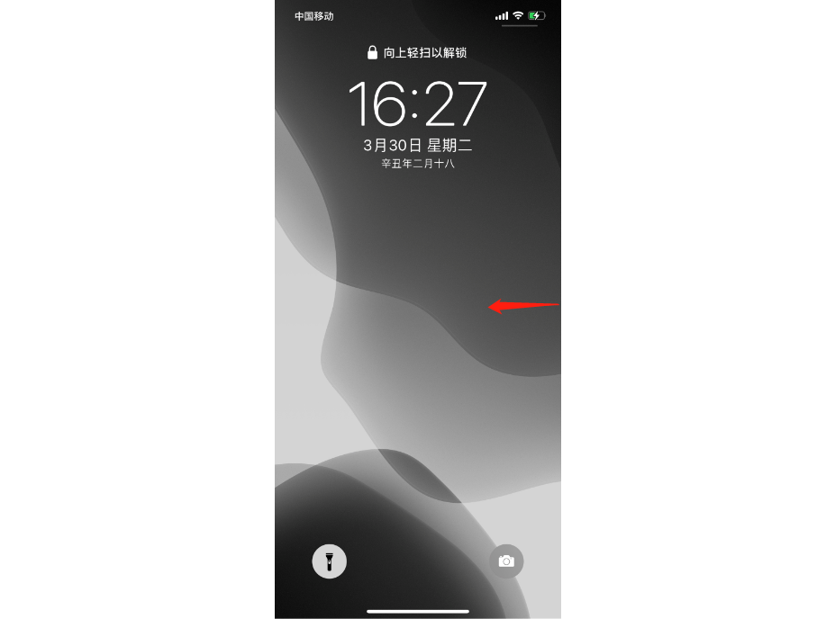 苹果操作系统有什么使用小技巧（iPhone12个iOS使用小技巧） 第15张