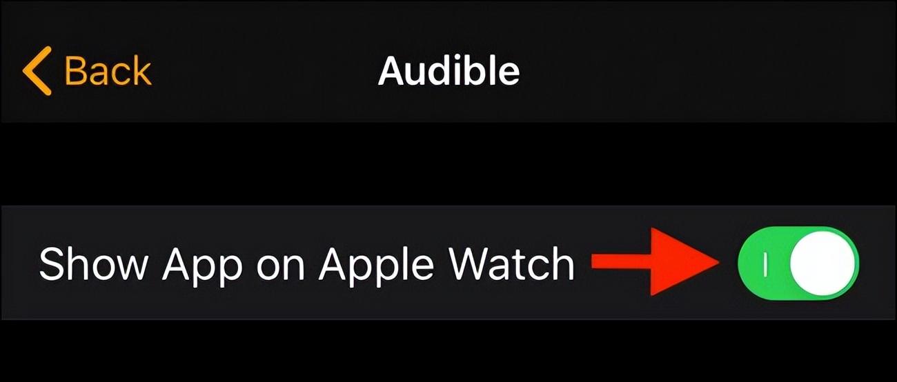 watch智能手表怎么下载app（Apple Watch安装应用步骤） 第17张
