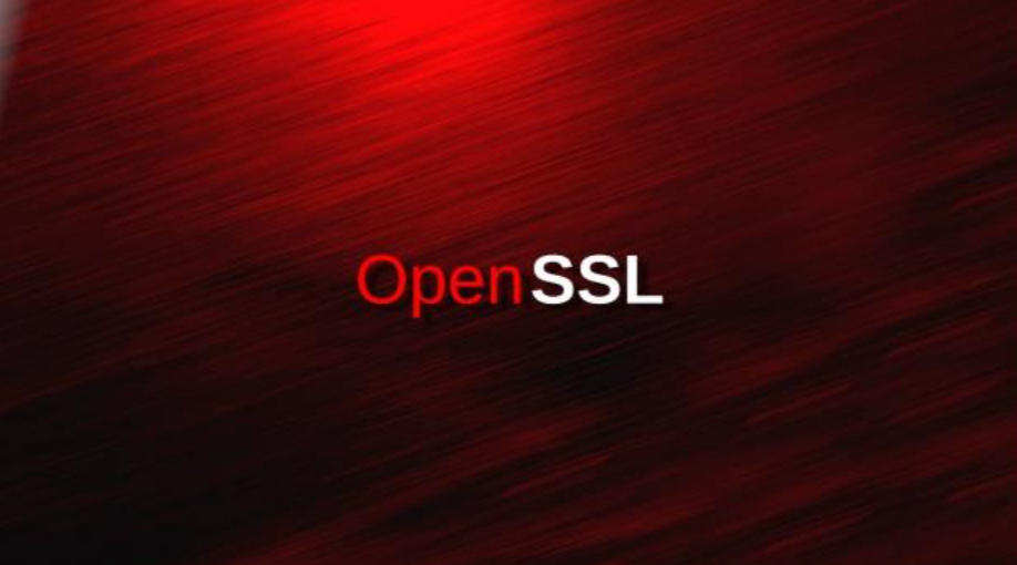 openssl漏洞怎么修复（openssl漏洞补丁的操作方法） 第1张