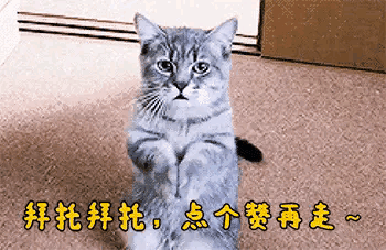 00后内部绝密暗语大全 第9张