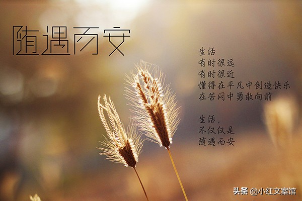 抖音里点赞量最高的爆款文案 第9张