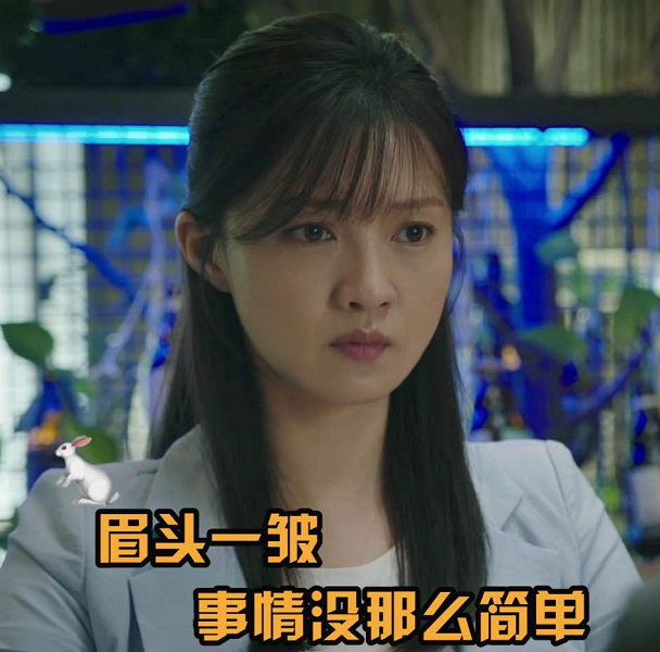 傅晶个人资料（出道22年终走红） 第3张