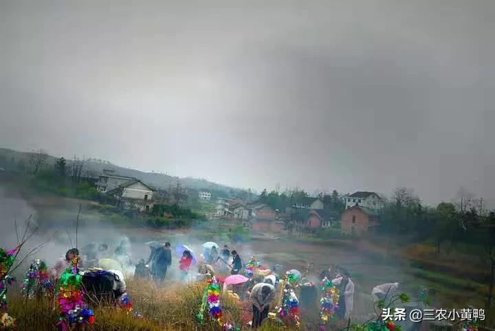 清明扫墓这4种水果最好不要带，除了梨子还包括哪几种？ 第1张