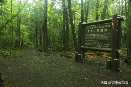 世界八大诡异之地，你敢看吗？ 第7张