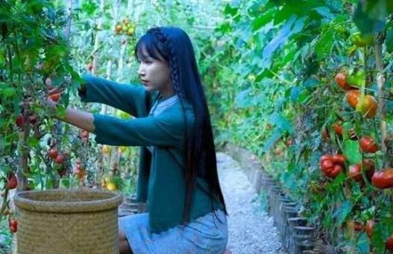 李子柒“豪宅”全景曝光，住千亩庄园犹如仙境，难怪外国人都羡慕 第7张