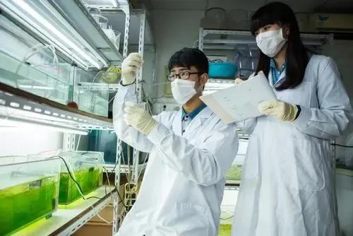 生物工程专业是个天坑，就业方向怎么样？ 第3张
