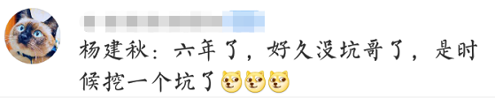 傅晶个人资料（出道22年终走红） 第9张