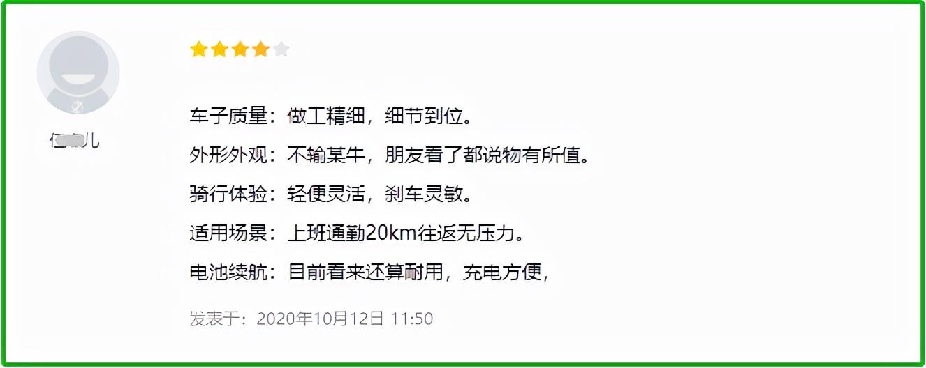 电动车哪个牌子好？看完再买也不迟 第23张