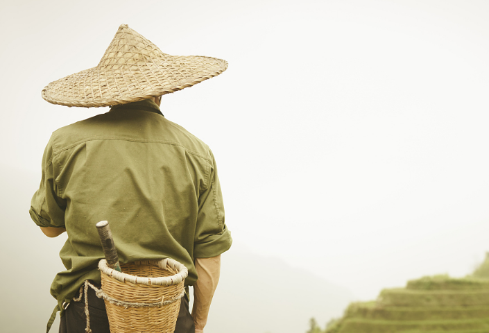 三农指的是什么？怎样清晰知道自己的视频，到底是不是三农领域？ 第11张