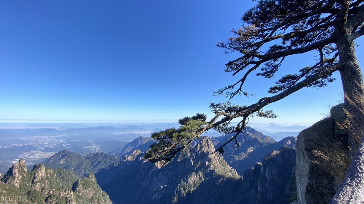 为什么说“黄山归来不看岳”？黄山“四绝”是什么？ 第7张