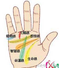 通过一个手掌看你一生如何？ 第3张