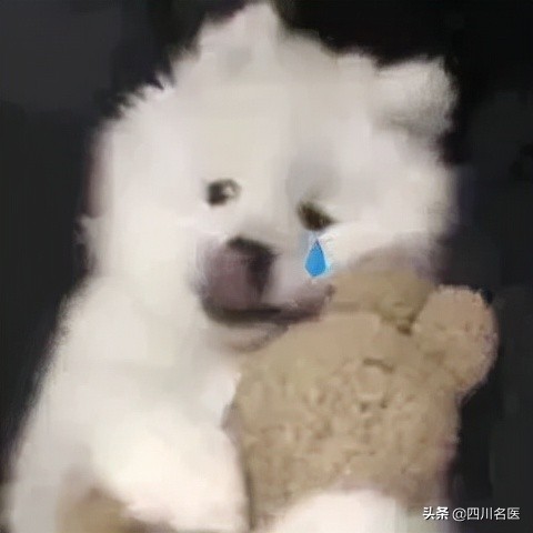 我女儿啥时候该打HPV疫苗？华西二院专家：很多家长还在误区中 第21张