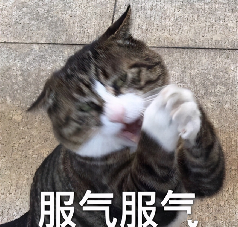 这5款好用到炸裂的APP，太厉害了！第2款看遍全网视频 第9张