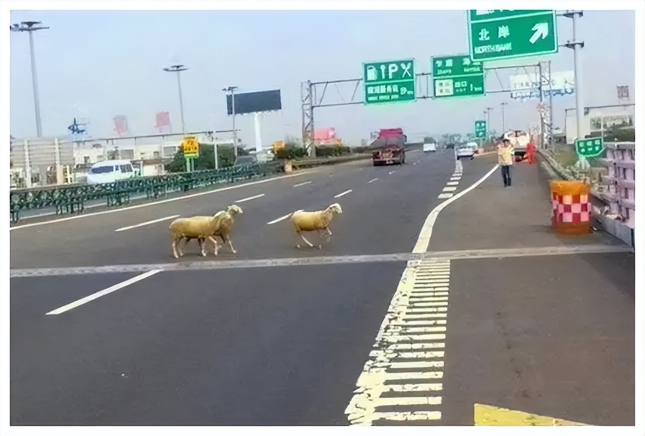 17个高速公路驾驶安全事项，建议新手朋友收藏，关键时刻用得上 第13张