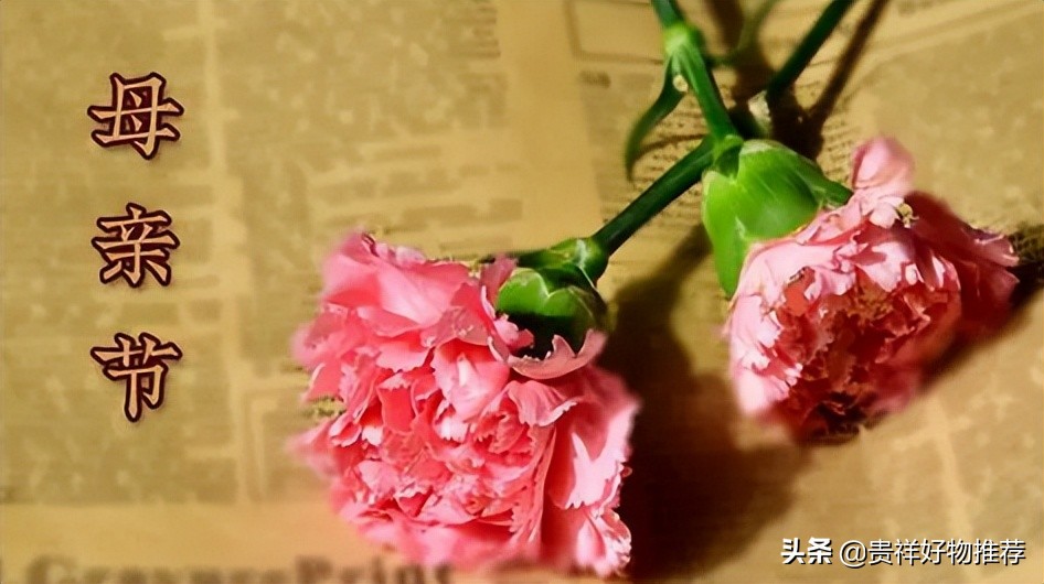 2022年母亲节是5月8日，过母亲节是中国传统习俗吗？ 第3张