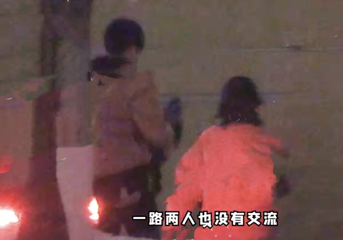 曝张子枫与焉栩嘉恋爱！疑穿情侣装过夜，男方曾被曝脚踏多条船 第9张